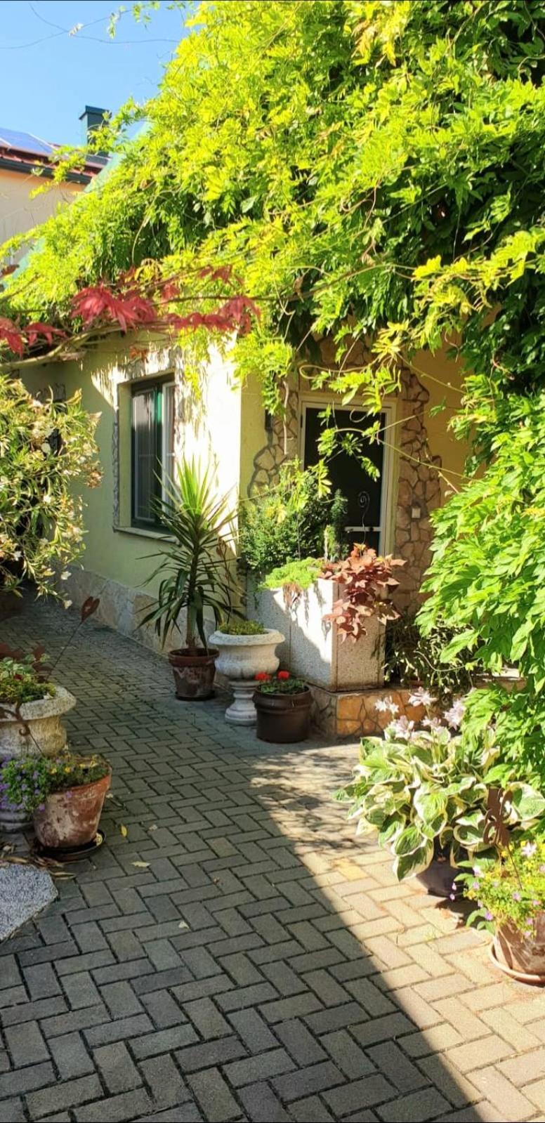 Ferienwohnung Koppi Pamhagen Exterior photo