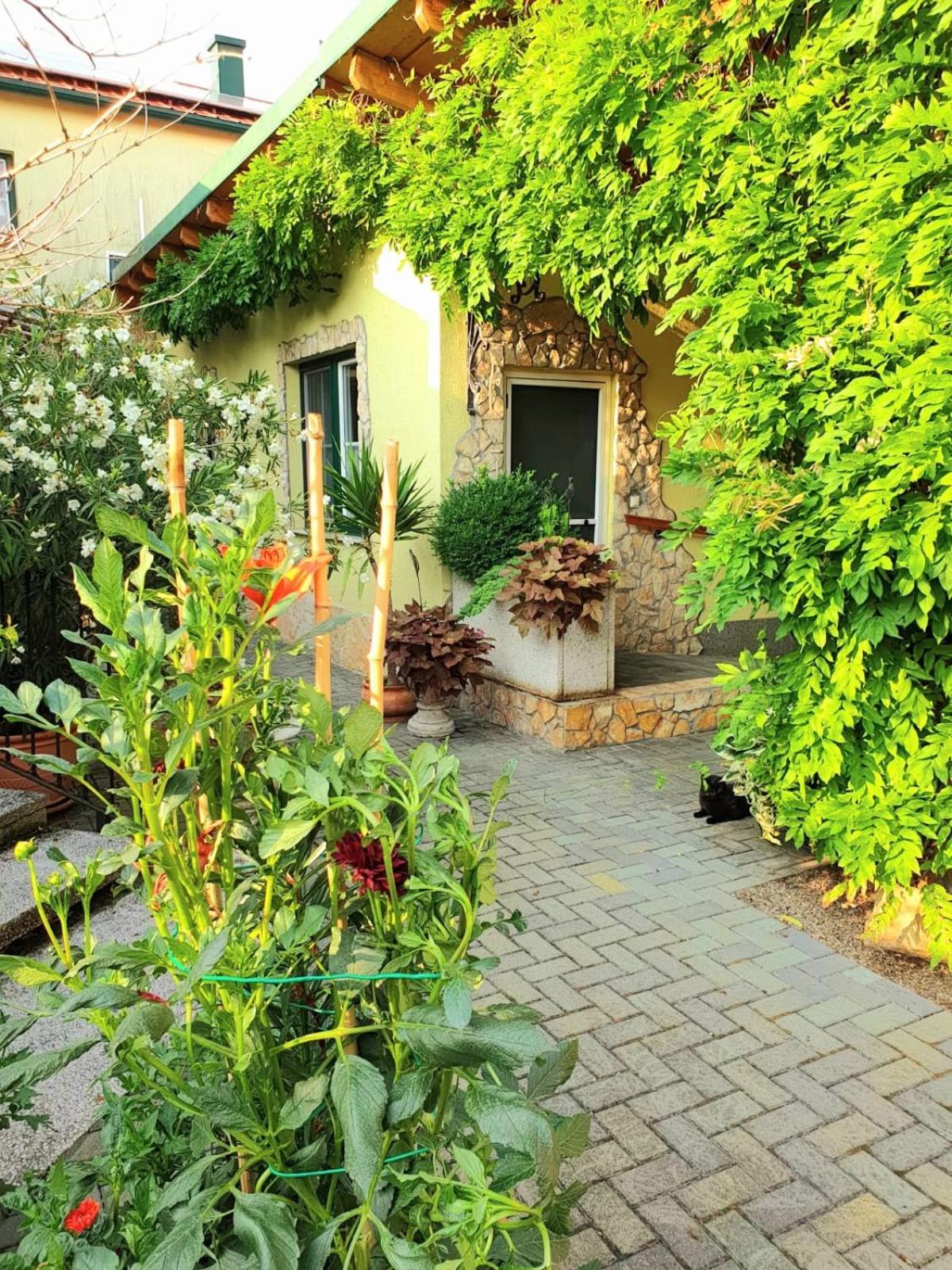 Ferienwohnung Koppi Pamhagen Exterior photo